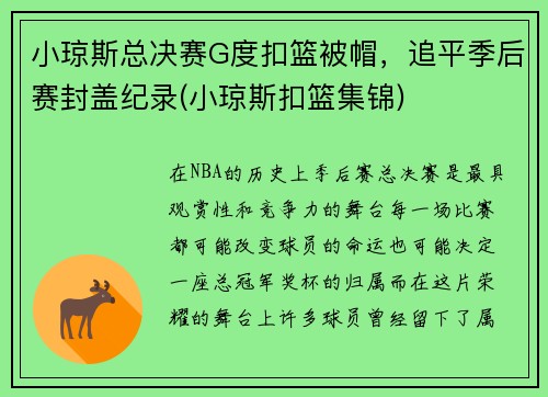 小琼斯总决赛G度扣篮被帽，追平季后赛封盖纪录(小琼斯扣篮集锦)